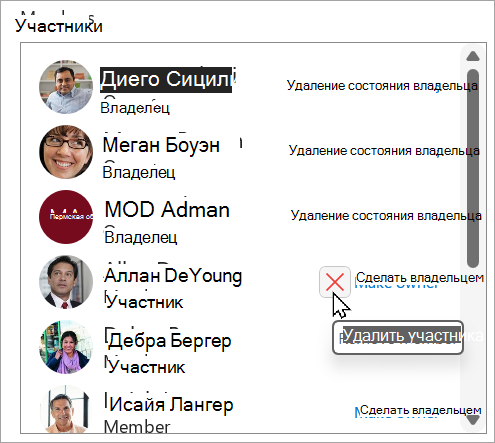 В поле Участники можно удалить состояние владельца, сделать участника владельцем или удалить участника.