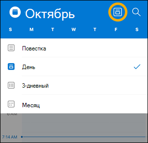Параметры кнопки просмотра Calendar iOS