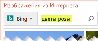 Введите условия поиска картинки.