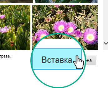 Нажмите кнопку 