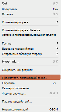 Параметр Просмотреть замещающий текст в контекстном меню в PowerPoint для Mac.