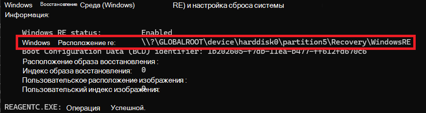 REAgentC Information Command