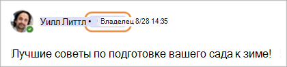 Снимок экрана: эмблемы владельцев сообщества в Teams (бесплатно).