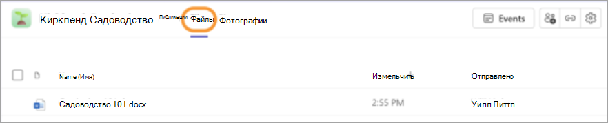 Снимок экрана: вкладка сообщества Files, открытая с общими файлами ниже.