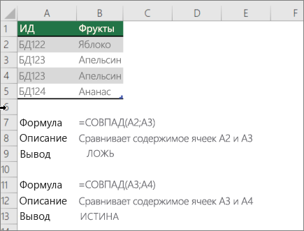 Пример использования функции СОВПАД для сравнения одной ячейки с другой