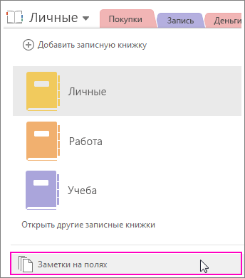 Снимок экрана: область записных книжек OneNote 2016 с выделенным полем 