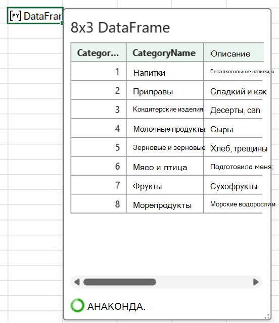 Открытая карта Python в Excel DataFrame, показывающая данные категории.
