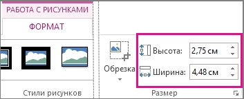 Поля 