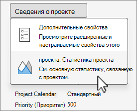 Параметры сведений о проекте