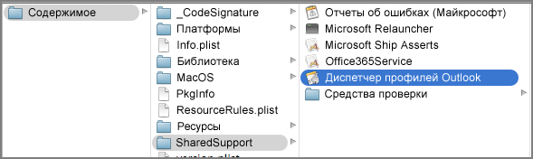Отображение содержимого пакета для Outlook