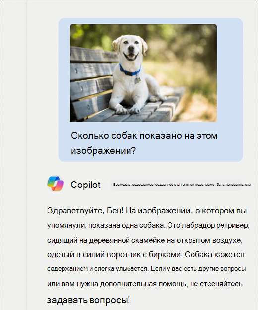 Снимок экрана: Copilot. Изображение собаки было вставлено вместе с подсказкой Сколько собак показано на этом изображении? Copilot точно ответил и предоставил дополнительное описание изображения.