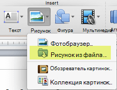 На вкладке Главная ленты в разделе Вставка щелкните Рисунок > из файла.