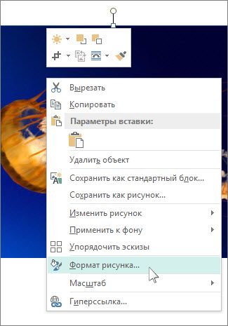 Снимок экрана с параметрами 