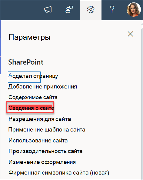 Параметр Сведения о сайте в диалоговом окне Параметры.