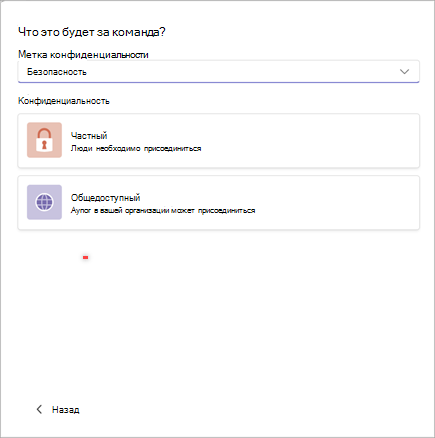 Снимок экрана окна для создания команды в Microsoft Teams с возможностью задать конфиденциальность как Безопасность и конфиденциальность Частная или Общедоступная.