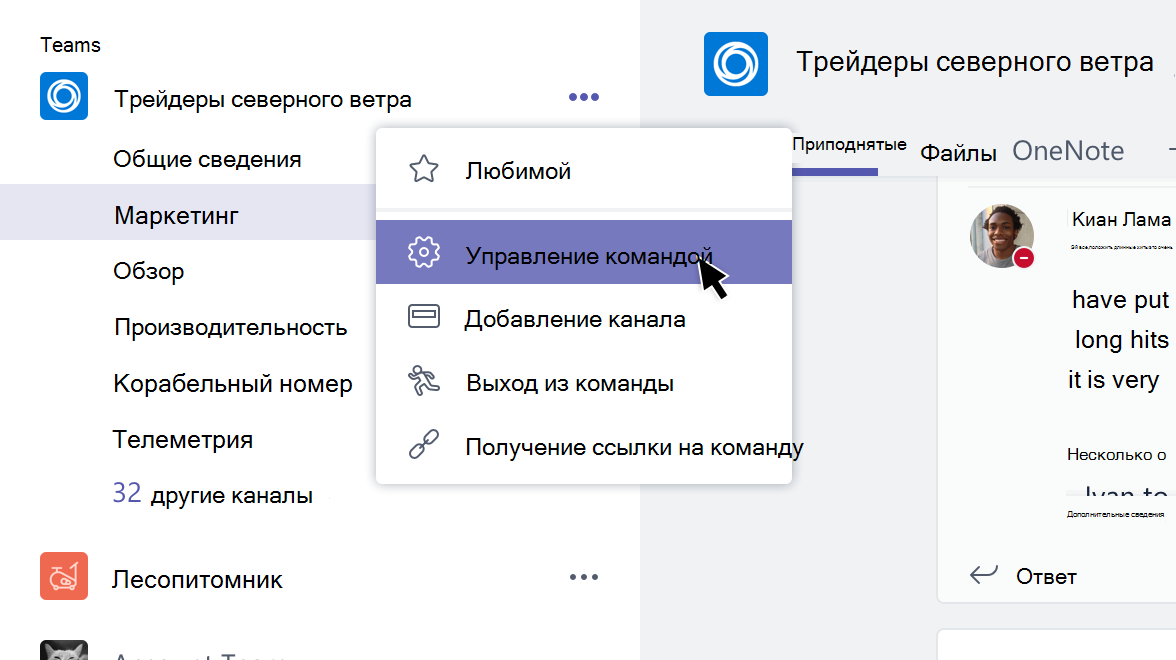 Меню команды с выбранным пунктом 