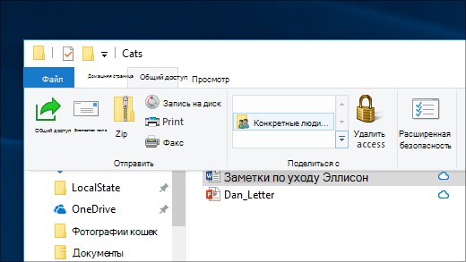 Предоставление общего доступа к файлам конкретным пользователям по сети