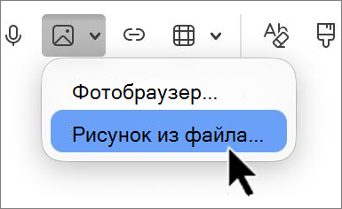 'outlook-mac-insert-picture-screenshot