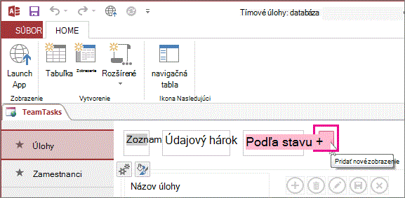 Tlačidlo na pridanie nového zobrazenia v accessovej aplikácii.