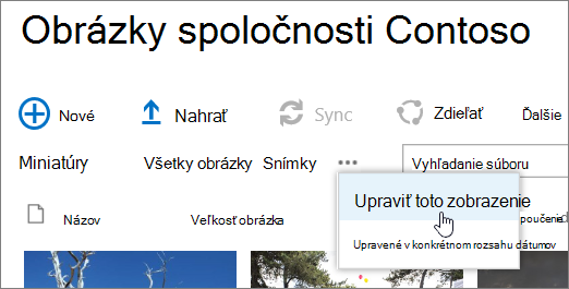 Panel zobrazenia knižnice obrázkov s vybratou možnosťou Upraviť zobrazenie