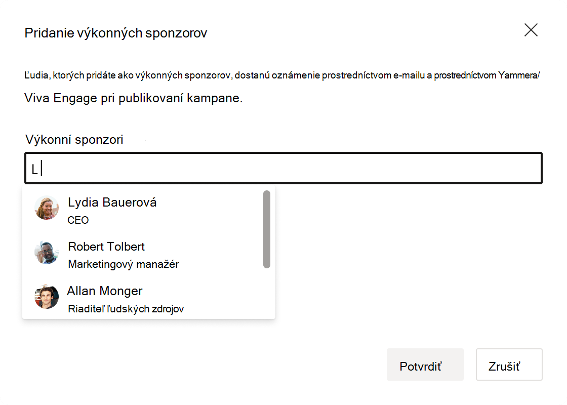 Snímka obrazovky s poľom pre záznam pre výkonných sponzorov.