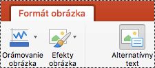 Tlačidlo Alternatívny text na páse s nástrojmi v PowerPointe pre Mac