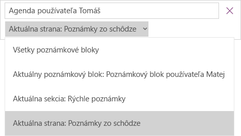 Zobrazuje sa rozbaľovací zoznam vyhľadávania s možnosťami na určenie rozsahu, aktuálna strana je aktívna.