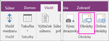 Snímka obrazovky s tlačidlom Vložiť obrázky vo OneNote 2016.