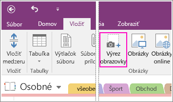 Snímka obrazovky zobrazujúca tlačidlo vloženia výrezu obrazovky vo OneNote 2016.
