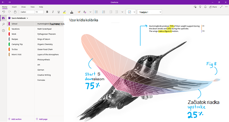 Snímka obrazovky OneNotu pre Windows 10