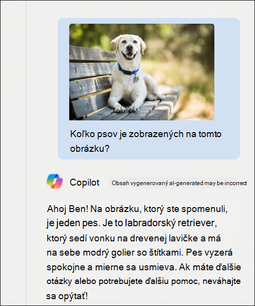 Snímka obrazovky Copilota. Spolu s výzvou bol prilepený obrázok psa Koľko psov je zobrazených na tomto obrázku? Copilot presne odpovedal a poskytol ďalší popis obrázka.