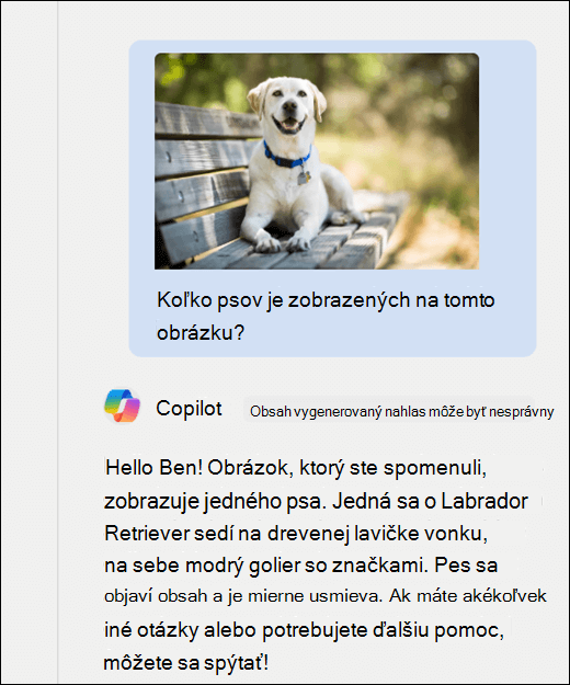 Snímka obrazovky Copilota. Spolu s výzvou bol prilepený obrázok psa Koľko psov je zobrazených na tomto obrázku? Copilot presne odpovedal a poskytol ďalší popis obrázka.
