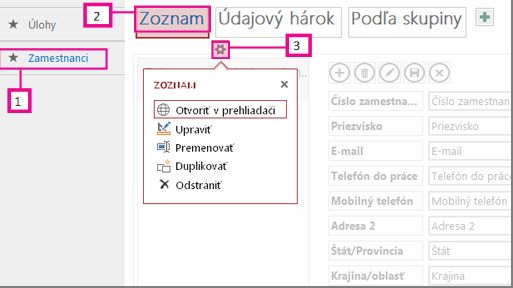 Dostupné zobrazenia accessovej aplikácie