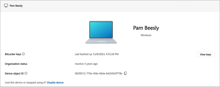 Stránka zariadenia s možnosťou kľúča šifrovania BitLocker