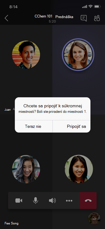 Dialógové okno Pripojenie k súkromnej miestnosti v mobilnom zariadení.