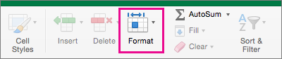On the Home tab, Format is highlighted