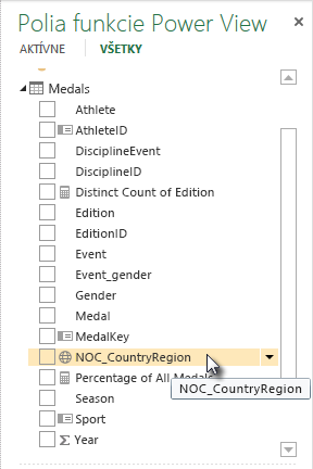 Ikona geografickej polohy v časti Polia funkcie Power View