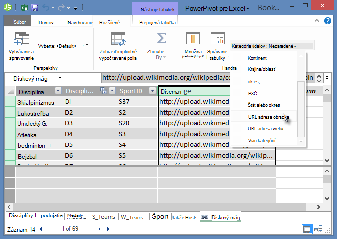 Nastavenie kategórie údajov v doplnku PowerPivot