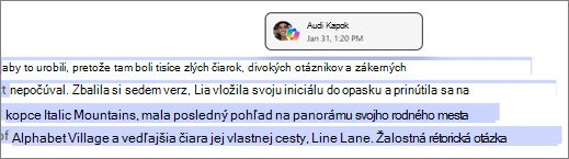 Stránky Copilota identifikujú autora a časovú pečiatku Copilota