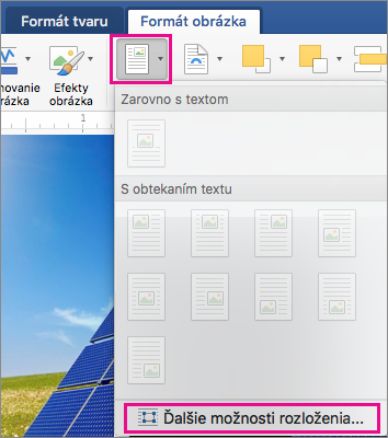 Na karte Formát obrázka sú zvýraznené položky Umiestnenie a Ďalšie možnosti rozloženia.