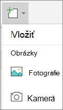 Vyberte položku Vložiť > fotografie