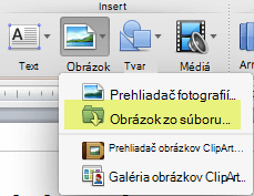 Na karte Domov na páse s nástrojmi kliknite v časti Vložiť na položku Obrázok > zo súboru.