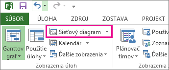 Ak chcete otvoriť zobrazenie sieťového diagramu, kliknite na položku Sieťový diagram.
