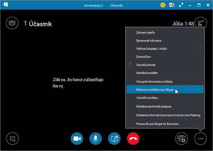 More dialog with Meeting Options highlighted