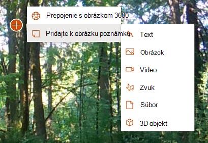 Ponuka zobrazujúca možnosti pre 360° poznámky obrázkom vrátane typov poznámok textu, obrázkov, videa, zvuku, súborov a 3D objektov