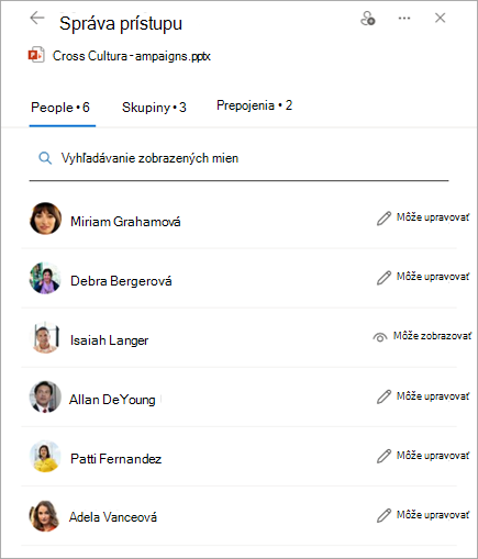 Panel Spravovať prístup zobrazujúci povolenia pre zdieľaný súbor.