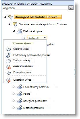 Pomocou ponuky môžete spravovať výrazy v rámci množiny výrazov.