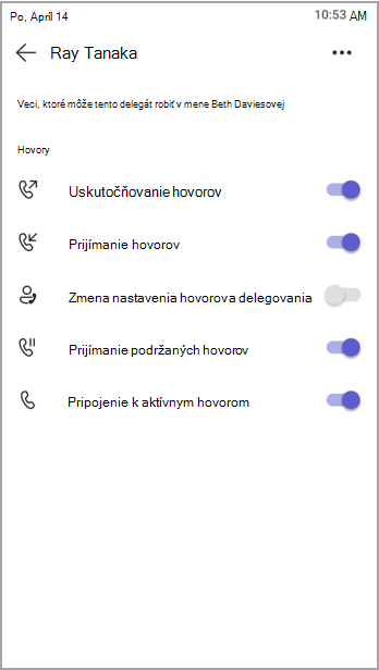 Zobrazenie povolení pre delegátov.
