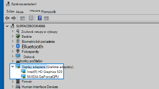 Správca zariadení a grafického adaptéry