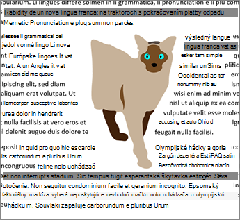 Obopslužné obtekanie